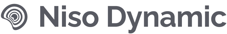 Niso Dynamic logo